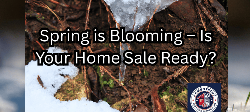 Spring is Blooming – Is Your Home Sale Ready? Don’t Let Hidden Winter Damage Spoil Your Success!
