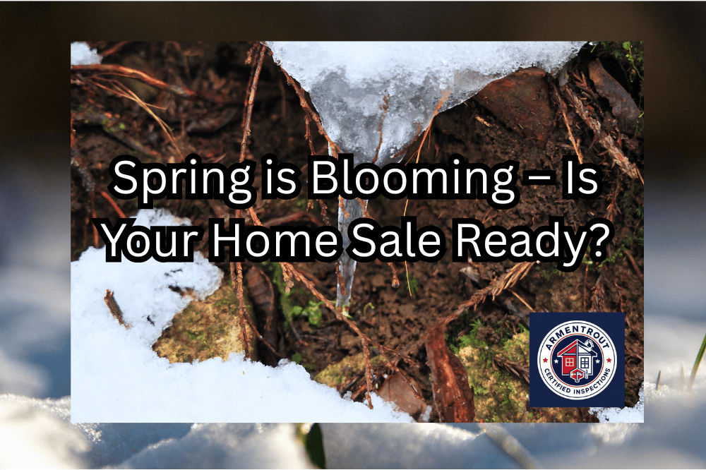 Spring is Blooming – Is Your Home Sale Ready? Don’t Let Hidden Winter Damage Spoil Your Success!